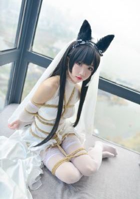 女神攻略调解手册完整版_超清免费观看